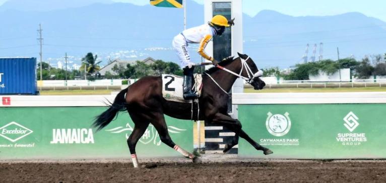 
DREAM CATCHER, ridden by Tevin Foster, wins the Jamaica Oaks over 10 furlongs at Caymanas Park yesterday.