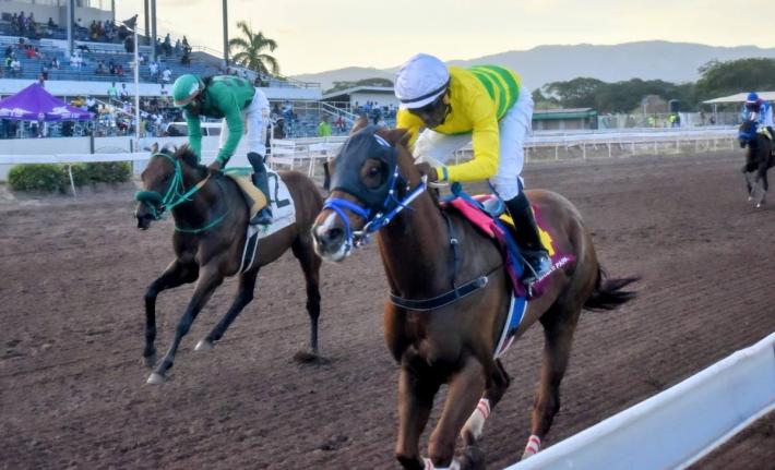 Anthony Minott/Freelance Photographer 
COMMANDER Z (right), ridden by veteran jockey Ian Spence, running at odds of 11-1, wins the fourth running of the Kaz Hoshay Trophy ahead of I DREAM AGAIN (Robert Halledeen) at Caymanas Park yesterday.