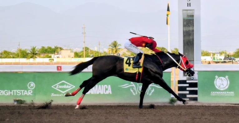 
PACK PLAYS, ridden by Emelio McLean, wins the NONE Such Sprint over six furlongs at Caymanas Park yesterday.