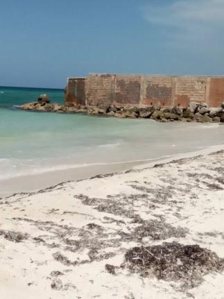 The Jacob Taylor Beach in Trelawny