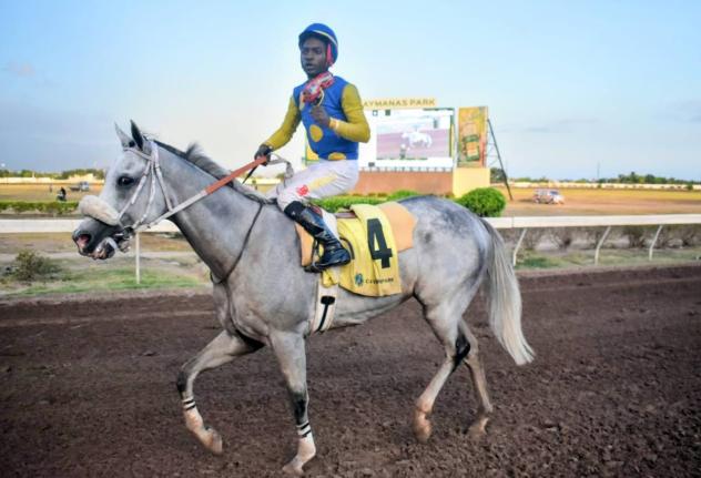 MOJITO, with Tajay Suckoo aboard, walks to the winner’s enclosure after capturing  the 22nd running of the Arthur Jones Memorial Trophy over six furlongs at Caymanas Park yesterday.