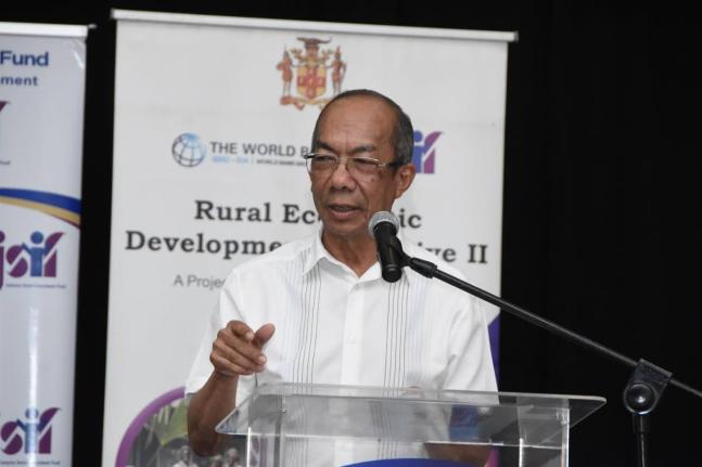 Deputy Prime Minister and National Security Minister Dr Horace Chang.