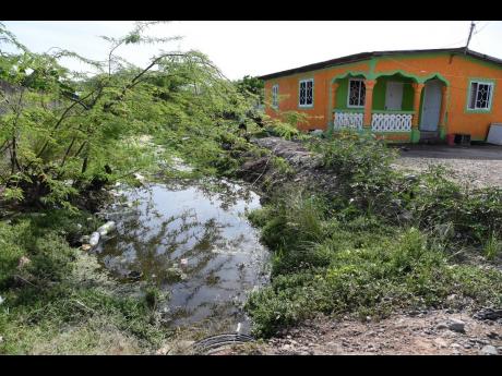 Credit: Ian Allen/Photographer Mosquito-breeding sites close to their homes is a major cause of concern for residents of Buddho in Old Harbour Bay, St Catherine.