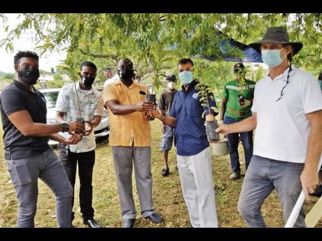 Credit: Contributed From left: Sherrón Barker, fishing manager at Food For The Poor (FFTP); Deputy Mayor Dalas Dickenson; Councillor Ian Bell; Nakhle Hado, director, agriculture and fishing, FFTP; and Simon Stewart, secretary, ORNPT, show off some of the trees being planted