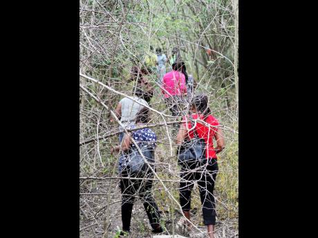 Volunteers scour heavily vegetated area in Sandy Bay, Clarendon, on Wednesday in search of missing schoolteacher Nattalie Dawkins. The Clarendon woman was last seen on March 30.