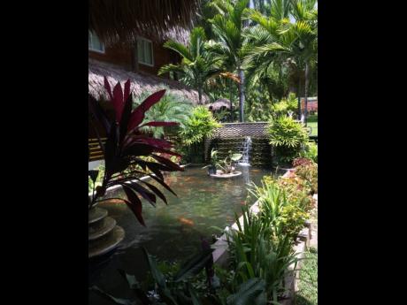 
Serenity in the Garden – photo taken at Hope Zoo.