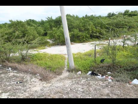 Last week, Senior Superintendent Christopher Phillips, who heads the St Catherine South Division, identified Dyke Road as a criminal hotspot where thugs cross the road with high-powered rifles to and from their sinister missions. He is calling for increase