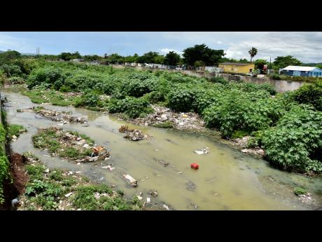 This August 22, 2022, file photo shows debris and trees growing in Sandy Gully, one of the main drainage systems located in St Andrew. The Government says funds have been allocated to clean the gully this year.