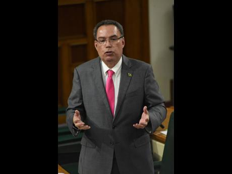 
Transport Minister Daryl Vaz.