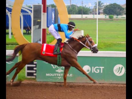 DESERT OF MALIBU, ridden by Raddesh Roman, wins the None Such Sprint Trophy over six furlongs at Caymanas Park on September 14.