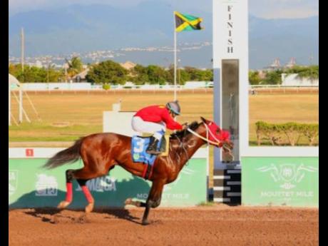 PACK PLAYS, ridden by Ismael Velasque, wins the Eileen Cligott Trophy over six-and-a-half furlongs at Caymanas Park on Saturday, January 25.