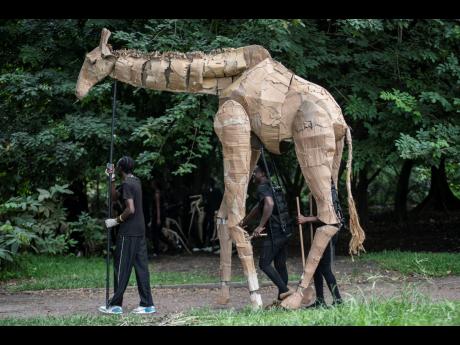 Credit: AP Puppeteers move cardboard animals through DRC’s capital Kinshasa’s botanical gardens last Thursday, the first steps of ‘The Herds’, a moving theatre performance that will travel from the Democratic Republic of the Congo to the Arctic Circle in a bi