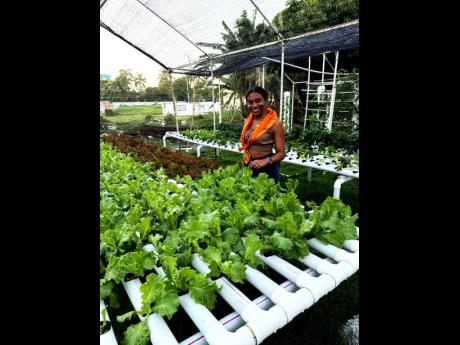 Businesswoman Melissa Hall displaying her pallets of green, leafy vegetables produced on her hydroponic farm in Portland.