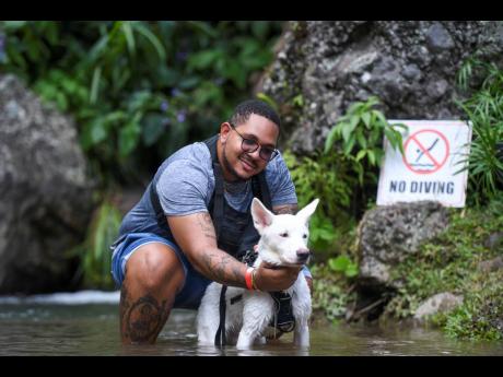 Credit: Antoine Lodge Above: All eyes were on this six-month-old Japanese Akita, Akiho, as owner Haughton Richards, manager at Ernst and Young, took the dog for a quick swim.