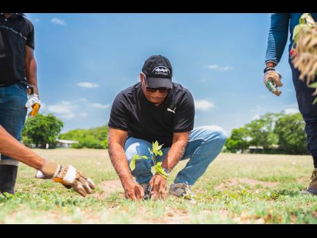 Credit: Supreme Ventures Racing and Entertainment Limited’s Racing Secretary, Denzil Miller, got his hands dirty for Labour Day, participating in the tree-planting initiative at Caymanas Park.