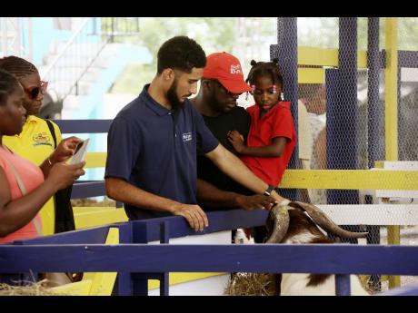 Dr Orlando Felicioli, assistant veterinary manager at Nutramix, guides Diamond Stone (second right) and Stone’s five-year-old daughter Dayanna as they pet one of the animals on day one of the Denbigh Agricultural and Industrial Food Show in Clarendon on 