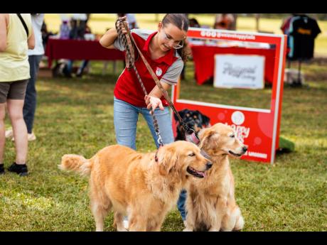 A happy Milena Esliger with two of her family’s golden retrievers, Misty and Alba.