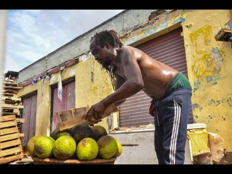 Eyan Williams, resident of Kidd Lane in Kingston, roasts breadfruit for himself and fellow residents after produce fall from trees during onslaught of Hurricane Melissa.