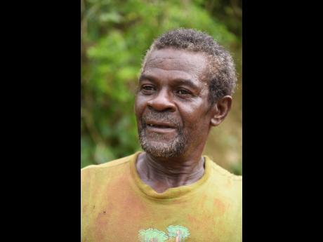 Credit: Ian Allen/Photographer Above: Yam farmer Eli Wallace, of Mahagony Hall, Trelawny, believes will take at least nine months before the sector fully recovers from Hurricane Melissa.