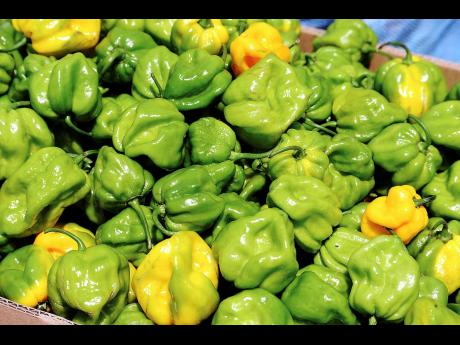 Scotch bonnet peppers.