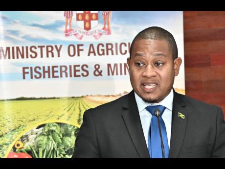 Floyd Green, minister of agriculture and prosecution witness. 