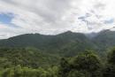 The Blue Mountains